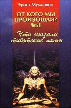 Эрнст Мулдашев - Трагическое послание древних