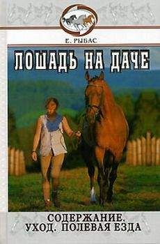 Юлия Рычкова - Устройство и дизайн аквариума