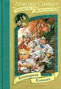 Лемони Сникет - Гадкий городишко