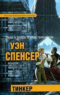 Уэн Спенсер - Эльфдом