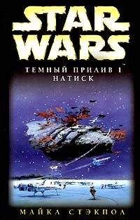 Майкл Стэкпол - X-Wing-8: Месть Исард