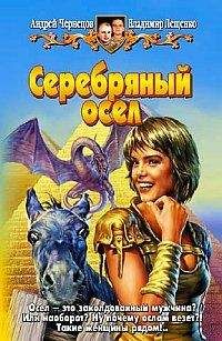 Андрей Чернецов - Серебряный осел