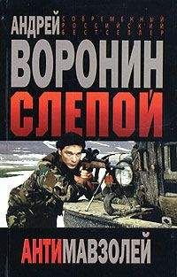 Андрей Воронин - Двойной удар Слепого