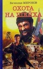 Вячеслав Миронов - НЕ МОЯ ВОЙНА