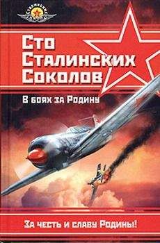 Федор Фалалеев - Сто сталинских соколов. В боях за Родину