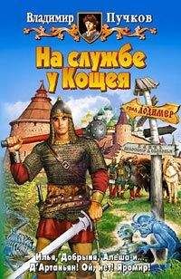 Владимир Пучков - Тень великого канцлера