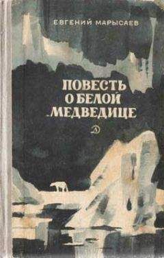 Евгений Вишневский - Приезжайте к нам на Колыму! Записки бродячего повара: Книга первая