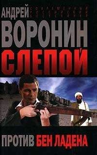 Андрей Воронин - Двойной удар Слепого