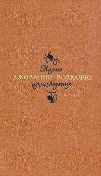 Мигель де Сервантес Сааведра - Хитроумный идальго Дон Кихот Ламанчский