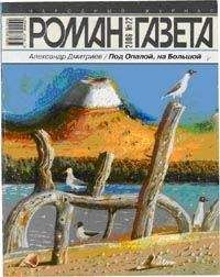 Андрей Дмитриев - Крестьянин и тинейджер