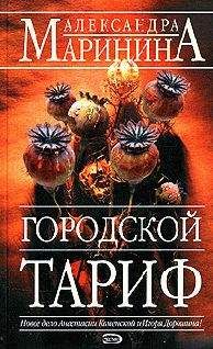 Вячеслав Денисов - Дело государственной важности