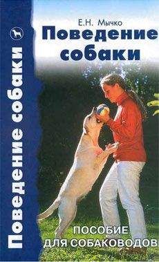 Александр Власенко - Хорошие собаки и этология человека