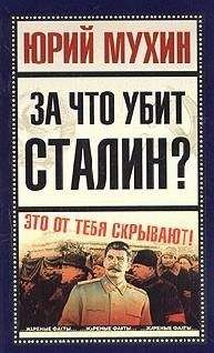 Юрий Жуков - Сталин: операция «Эрмитаж»