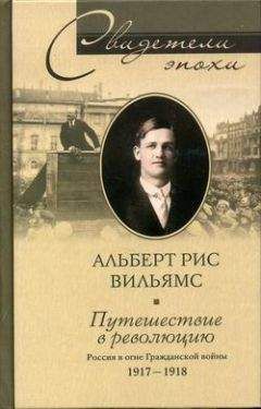 Никита Окунев - Дневник москвича. Том 1. 1917-1920