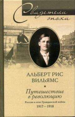 Сергей Голубов - Полководцы гражданской войны