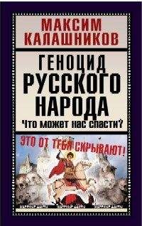 Максим Калашников - Цунами 2010-х годов