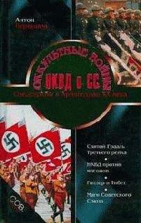 Борис Сопельняк - Секретные архивы НКВД-КГБ