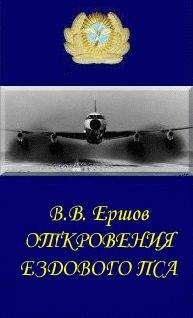 Василий Чуйков - Сражение века