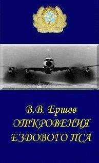 Василий Емельяненко - В военном воздухе суровом