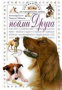 М. Бейли - Золотая книга аквариумиста