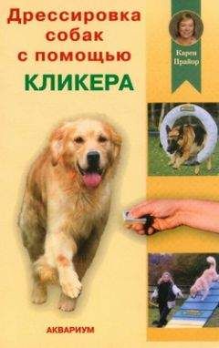 Бренда Джонс - Китайская хохлатая собака. Изысканность и стиль
