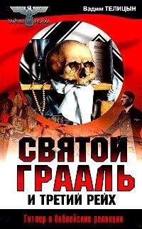 Юрий Емельянов - Смертельная схватка нацистских вождей. За кулисами Третьего рейха