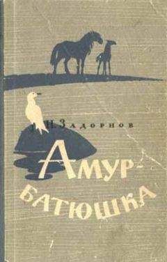 Амур Бакиев - Легионы идут за Дунай