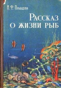 Иван Овсинский - Соя ранняя