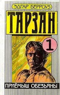Брет Гарт - Млисс