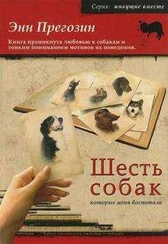 Алексей Сицко - Советы начинающему охотнику