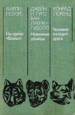 Ясон Бадридзе - Волк. Вопросы онтогенеза поведения, проблемы и метод реинтродукции