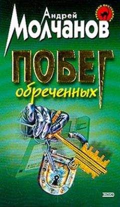 Андрей Молчанов - Улыбка зверя