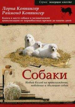 Хиллери Хармар - Собаки и их разведение