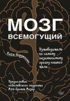 Кайя Норденген - Мозг всемогущий. Путеводитель по самому незаменимому органу нашего тела