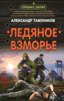 Александр Тамоников - Ледяное взморье