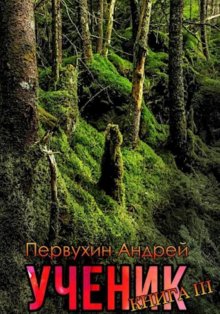 Андрей Первухин - Ученик. Книга третья