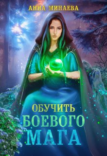 Илья Соломенный - Хроники Книжника – 4