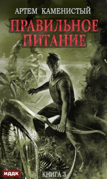 Александр Михайловский - За точкой невозврата. Полдень битвы