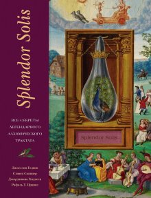 Джорджиана Хидисен - Splendor Solis. Все секреты легендарного алхимического трактата