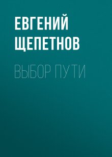Евгений Щепетнов - Выбор пути