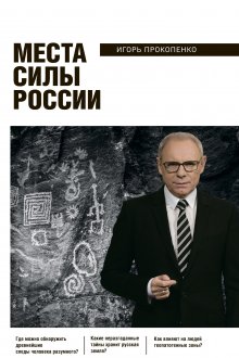 Александр Казаков - Лис Севера. Большая стратегия Владимира Путина