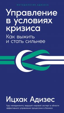 Дэн Роэм - Сокрушительный питч в стиле поп-ап. Экспресс-подход к созданию презентации, которая продает, вдохновляет и поражает