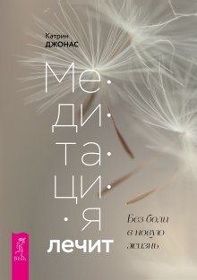 Владимир Серкин - Большая книга Шамана