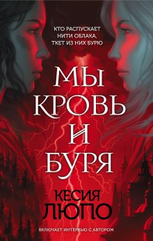Илья Соломенный - Хроники Книжника – 4