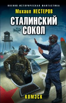 Михаил Нестеров - Сталинский сокол. Комэск