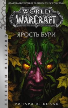 Ричард Кнаак - World of Warcraft. Ярость Бури