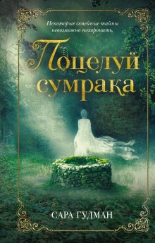 Илья Соломенный - Хроники Книжника – 5