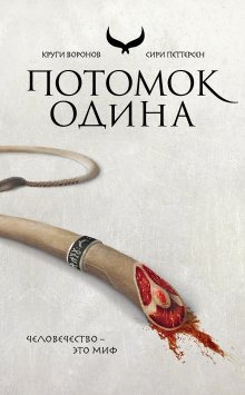 Илья Соломенный - Хроники Книжника – 4