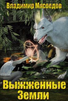 Алексей Широков - Герой для Системы